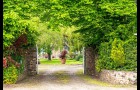 Deux maisons de charme, une grange, un étang sur 1,30 Hectares à la campagne